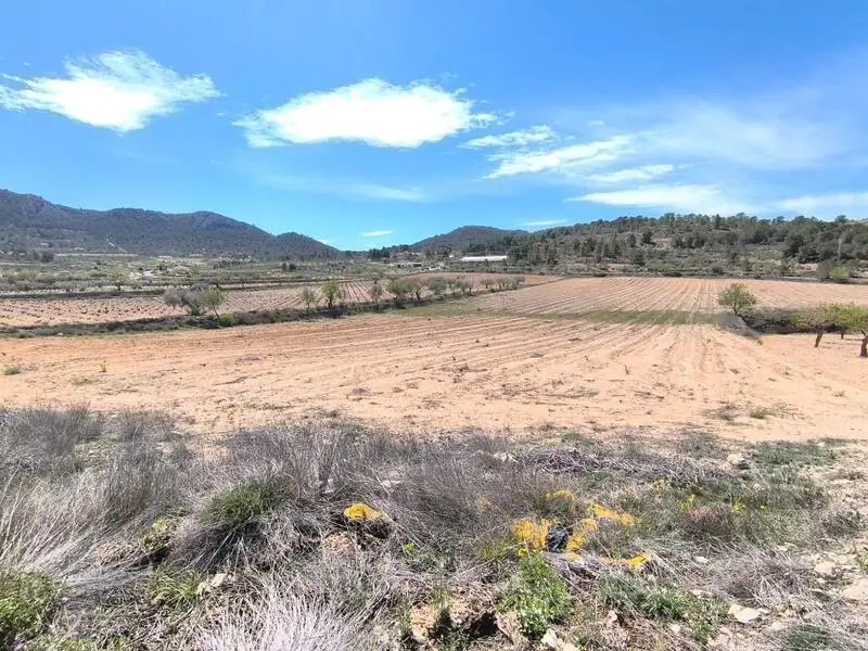 Terreno Agricola 27000m2 Cerca La Zarza Jumilla