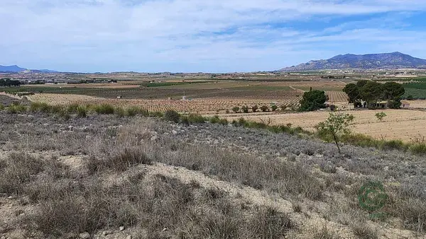Terreno Rustico Pinoso 18889m2 Agricola Recreativo