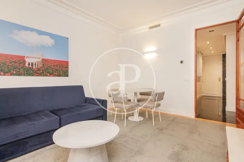 Apartamento en Sol Madrid Centro para 2 Personas 1 a 11 meses