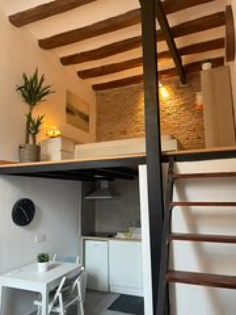 Venta Loft El Raval Barcelona 30m2 85 de rentabilidad