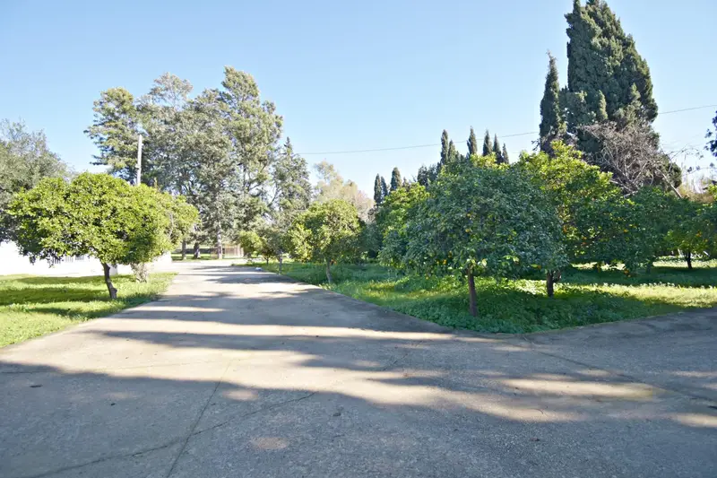 Venta Finca Rustica Jerez de la Frontera 7 Dormitorios Piscina