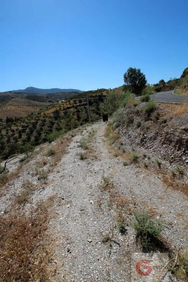 Finca Rustica 5500m2 1 Dormitorio Velez de Benaudalla