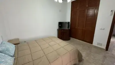Estudio en Alquiler en Inca Centro