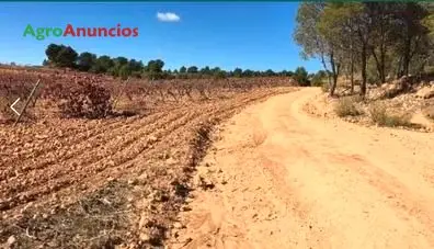 Venta  de Finca de viña en espaldera en Valencia