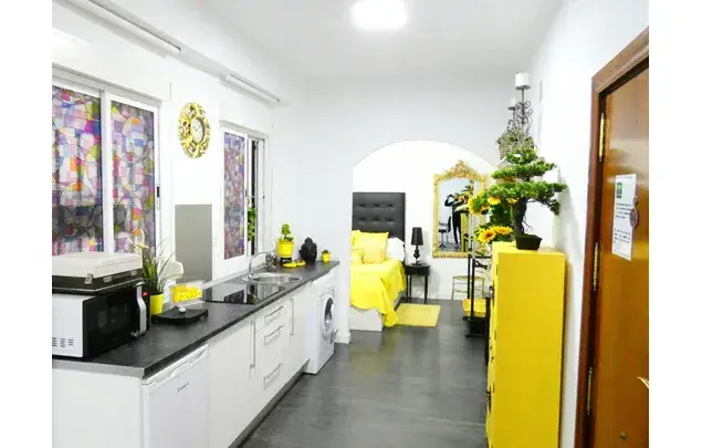 Apartamento 1 Dormitorio 48m2 Malaga Centro
