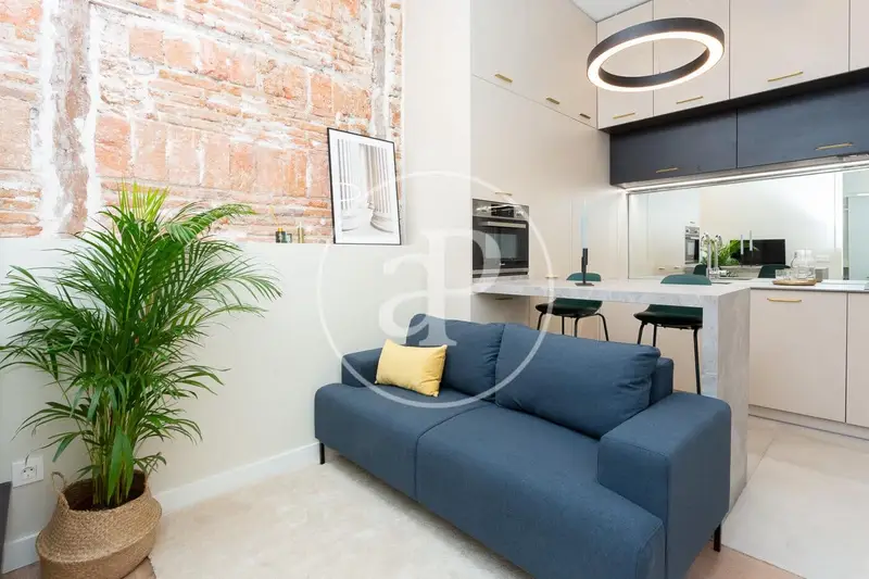 Apartamento en Venta Madrid Rios Rosas 30m2 Reformado Inversor