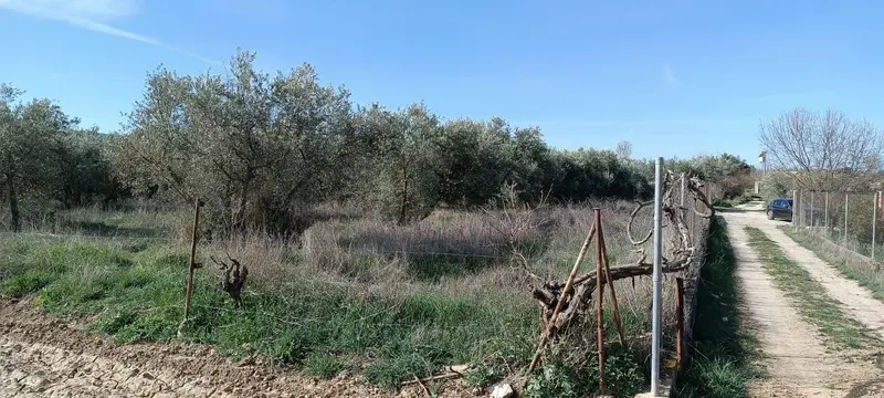 Venta Terreno en Nueva Otura Otura Ref T852