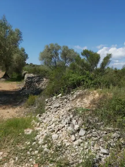 Venta Finca Rustica Sant Mateu dAlbarca 18000m2