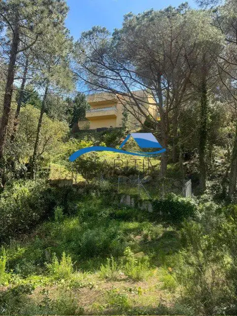 Solar en Serra Brava Lloret de Mar 885m2