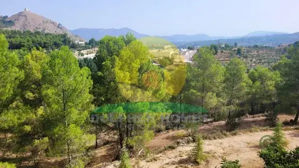 Mansión de Lujo con 6 Dormitorios y Piscina en Alicante