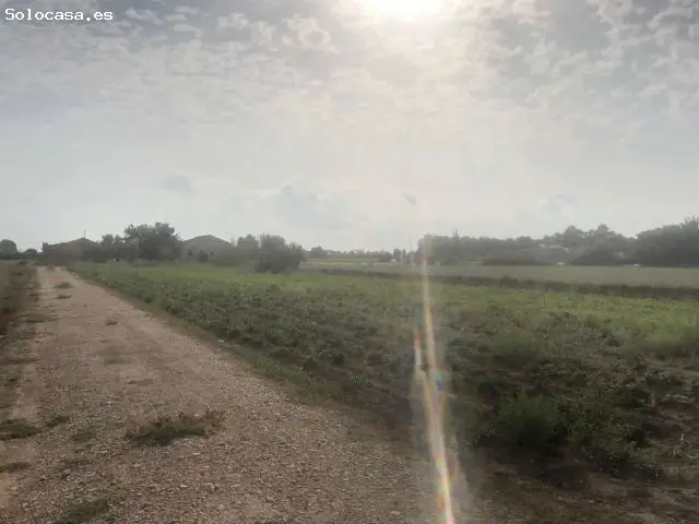 Finca Rústica con Viviendas en Callosa de Segura