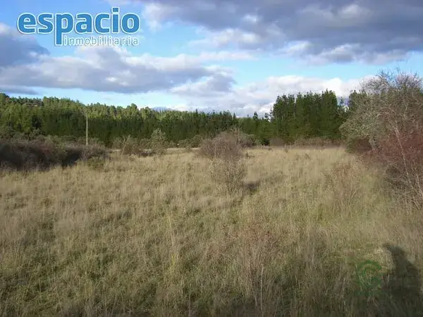 Finca Rústica en Cueto 6800m2