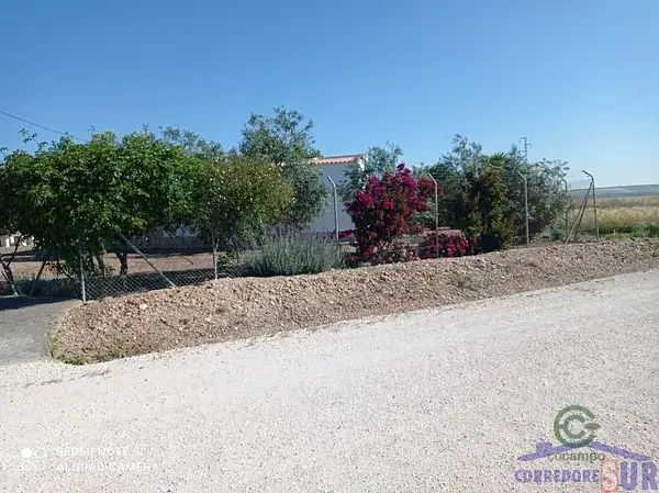 Finca Rustica en Córdoba 97ha