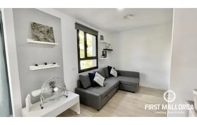 Alquiler Apartamento 1 Dormitorio 65m2 Palma Centro