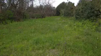 Finca Rustica en Venta Veranes Gijon 4000m2
