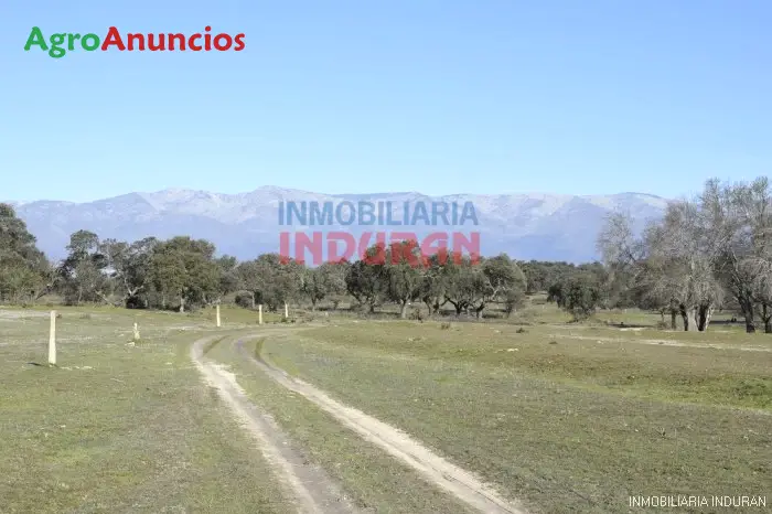 Venta  de Finca cerrada de encinas y labor en Toledo