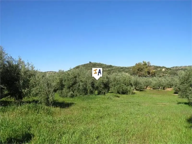Terreno en venta Las Casillas de Martos: 3600m2 con olivos y vistas