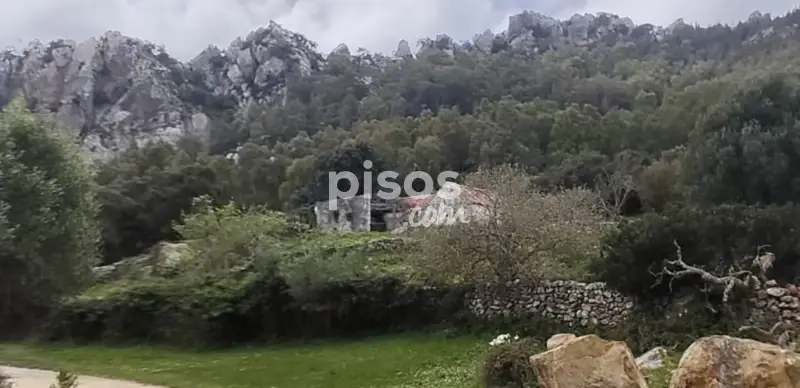 Chalet Rústico en Venta Betis