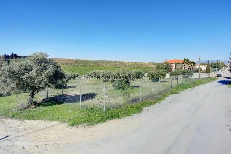 Parcela Rustica en Venta Las Gabias 5000m2 con Olivos