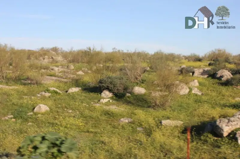 Venta Finca Rustica 221 Hectareas Badajoz