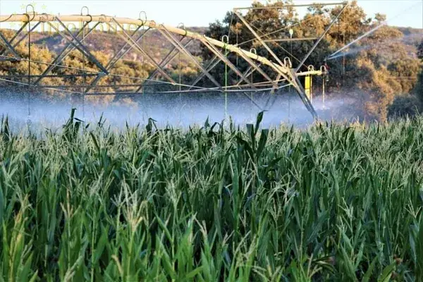 Finca Rustica 4000ha Castilla La Mancha