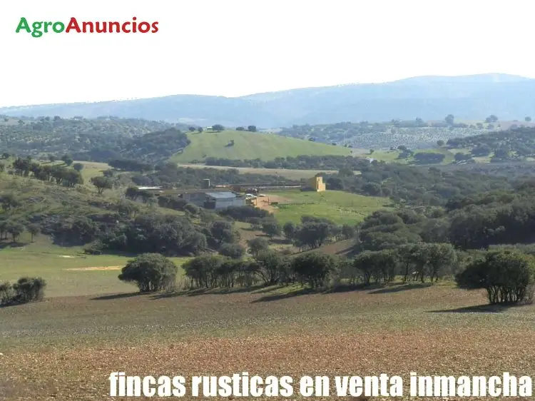 Venta  de Finca con casa, naves y plaza de toros en Ciudad Real