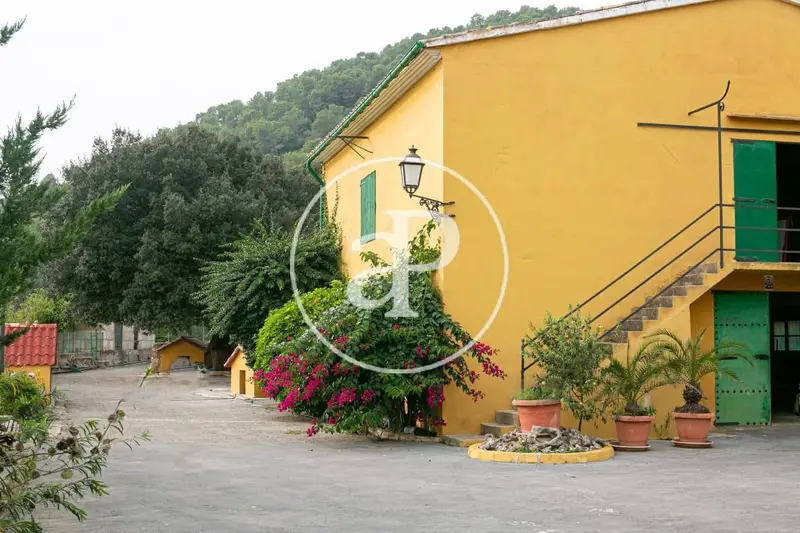 Chalet con Piscina y Cultivo de Citricos en Mallorca