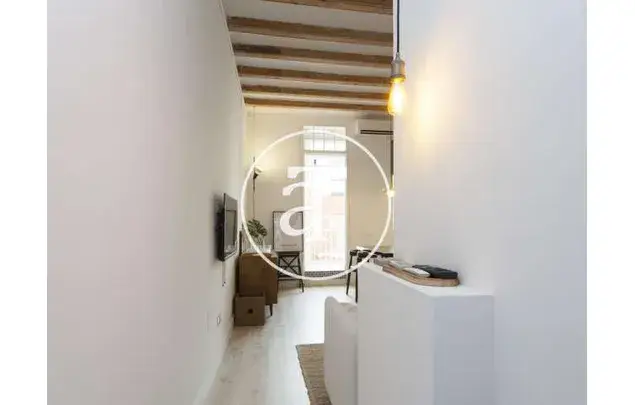 Alquiler Apartamento 1 Dormitorio Gràcia Barcelona