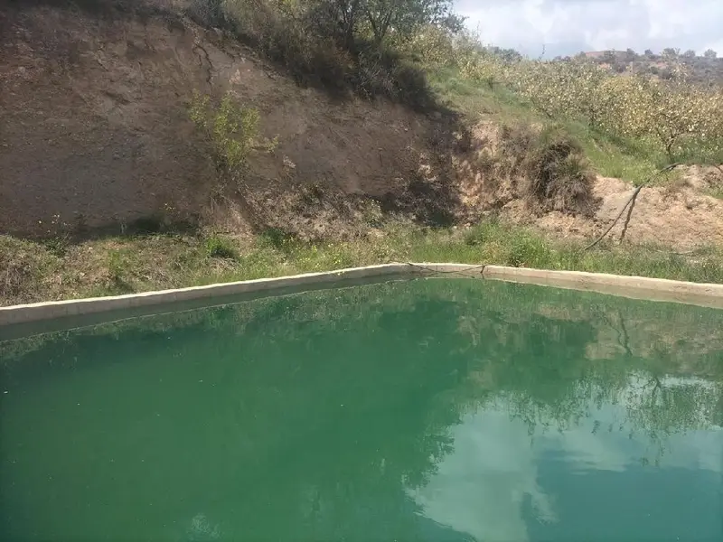 Venta Finca Rustica Sierra Restábal 5000m2