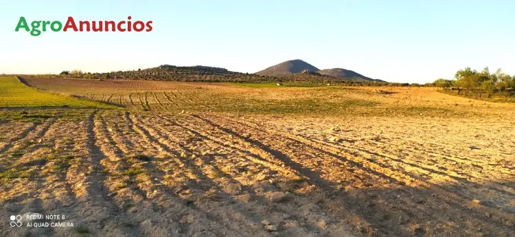 Venta  de Finca con derechos pac en Toledo