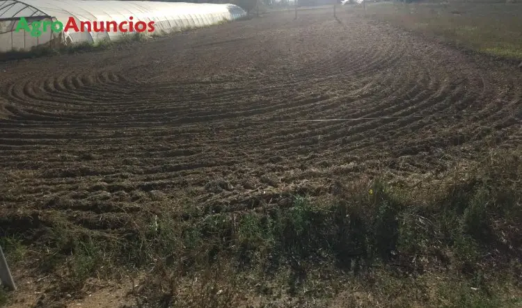 Alquiler  de Finca de regadío con invernaderos en Salamanca