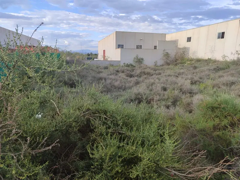 Solar en Venta Benijofar 1167m2 Inversor