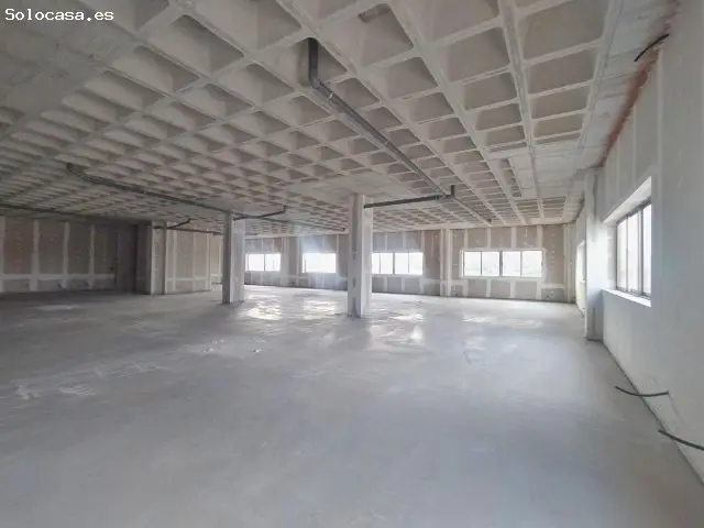 Alquiler Oficinas 493m2 Parque Industrial Torrellano