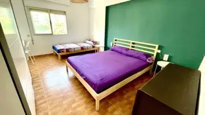 Apartamento Alquiler Estudiantes Vacaciones Gandia Playa