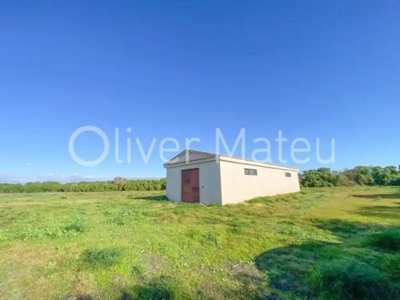 Chalet en venta Mallorca 6 habitaciones 7 banos 87000m2