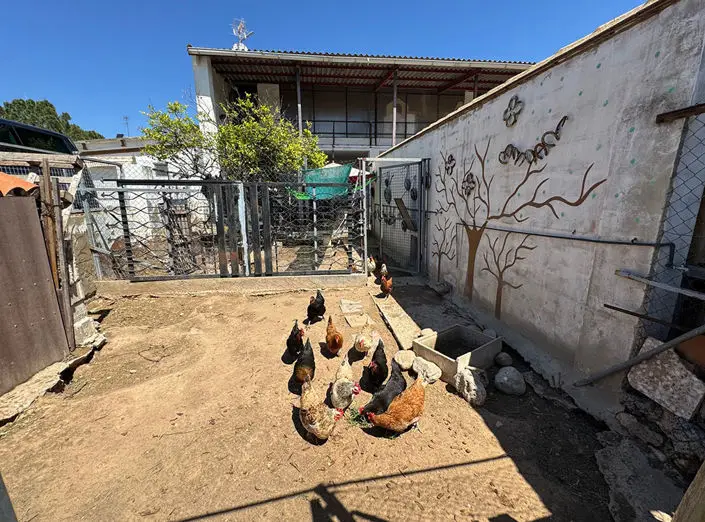 Villa de 11 Dormitorios en Venta Pedralba