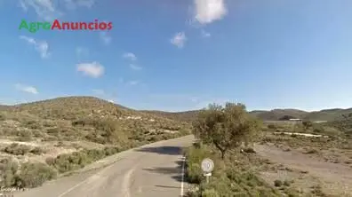 Venta  de Finca con coto de caza menor y jabalí en Almería