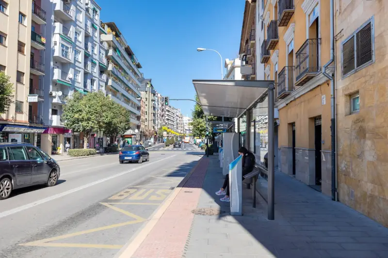 Venta Local Comercial Centro Realejo Granada