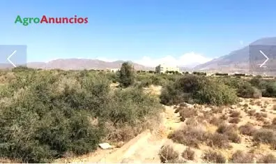 Venta de Suelo Urbanizable en El Ejido Almeria 3834m2