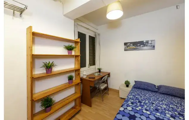 Alquiler Apartamento 6 Dormitorios Barcelona Les Corts