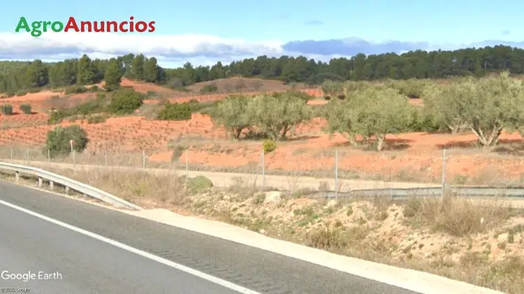 Venta  de Finca recreo opcion casa de campo en Valencia