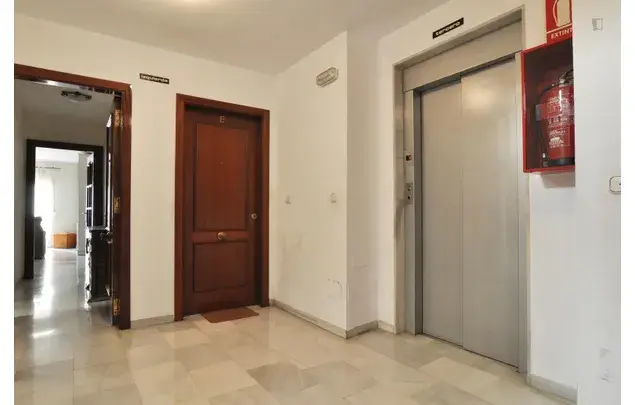 Alquiler Apartamento 4 Dormitorios Malaga Estudiantes