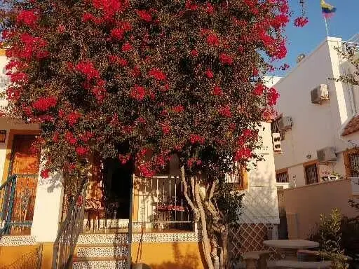 Chalet en alquiler en Torrevieja, Alicante
