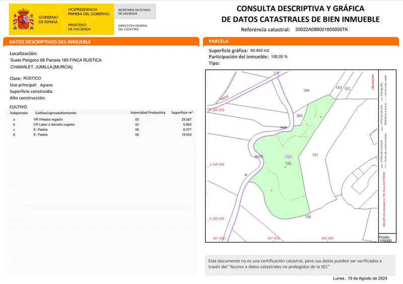 Parcela Edificable en Jumilla 61000m2 - Vinedo - Casa hasta 400m2
