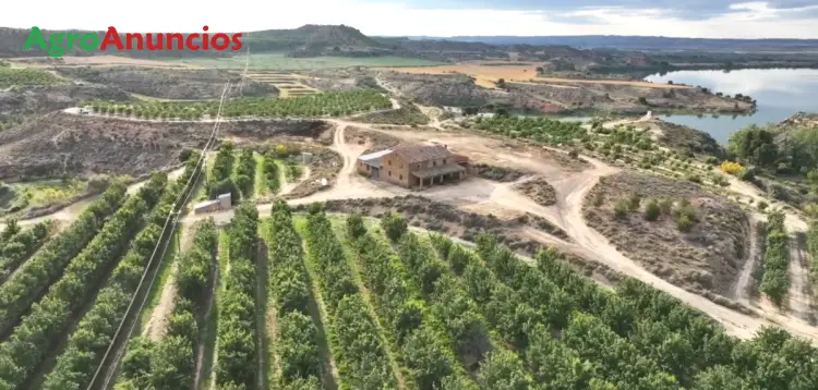 Finca de Almendros y Nogales en Zaragoza