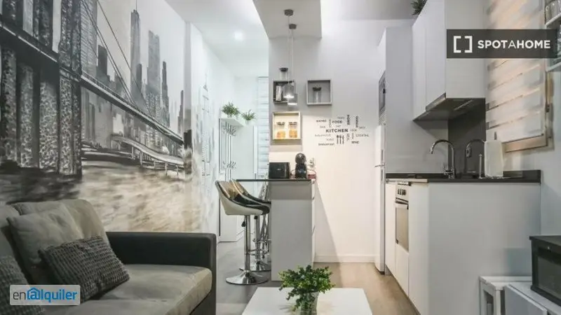 Apartamento Amueblado 1 Dormitorio Madrid Centro