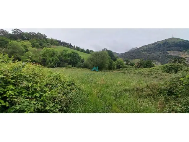Terreno en Venta Limpias Cantabria 6100m2