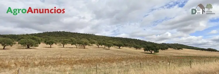 Venta  de Finca ganadera en Cáceres