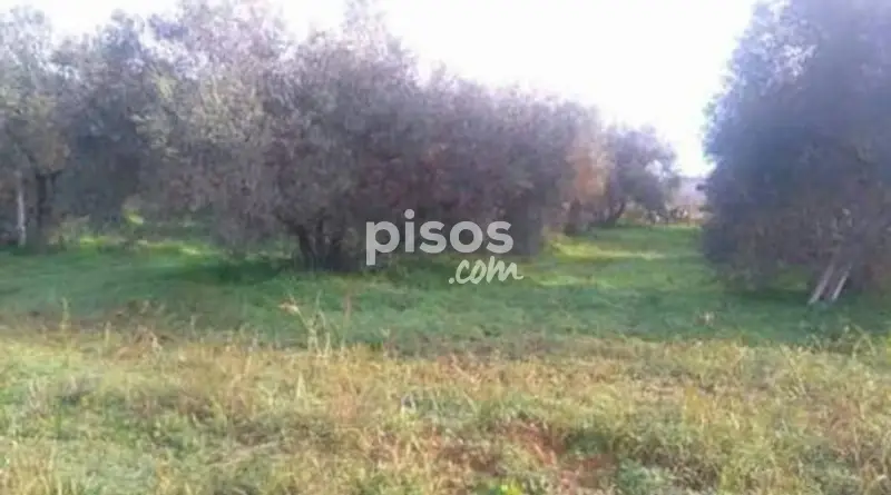 Parcela Rustica en Venta Aznalcazar