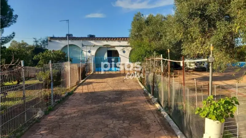 Chalet unifamiliar en venta en Urbanización Nietos